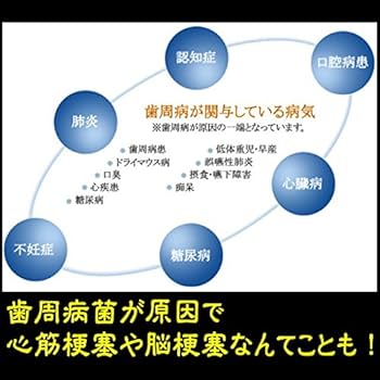 Amazon | フェアユング プロバイオティクス K12 30粒 × 3個